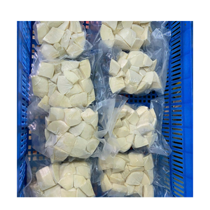 Cubos de Fruta de Pan Tropicales Congelados IQF Premium, Proveedor de Vietnam, Suministro a Granel - Product Image 2