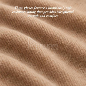 Gants de moto en cuir écologique et durable, en peau de chèvre véritable, respirants, équipement de course pour motards, personnalisation de la marque, prix d'usine, OEM - Product Image 6