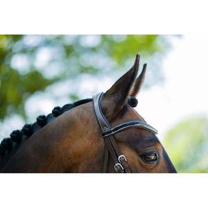 Ensemble de bridonnettes équestres en cuir traditionnel - ANNABELLE EQUESTRIAN - Équipement d'équitation durable et personnalisable pour l'extérieur - Product Image 3