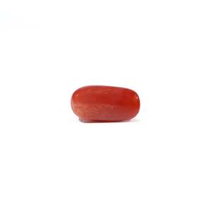 Natural Red Coral Beads 4.5 Carat Certified Wholesale Quality - Product Image 2