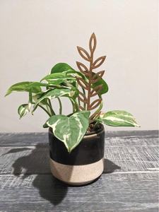 Treillis de piquet de tige de feuille en aluminium/métal moderne pour décorations/supports de plantes de jardin de balcon intérieur/extérieur - Product Image 2