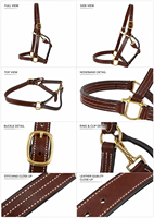 Harnais en cuir de qualité supérieure, élégant et raffiné pour chevaux, de Divine International
