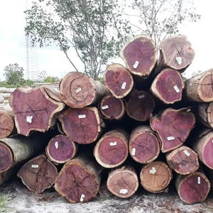 Madera de Sándalo / Madera de Fresno / Madera de Ébano / Madera de Haya / Madera Aserrada / Troncos de Abedul / Troncos Redondos de Teca - Product Image 1