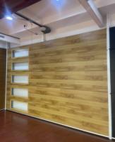 Skyland Automatique Électrique Sectionnel Double Peau En Bois Voiture Garage Porte de Garage en Bois