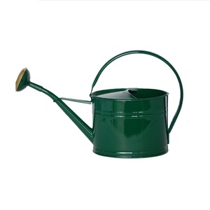 Arrosoir en métal de qualité supérieure, finition verte, support pour pot de fleurs, utilisation pour la maison, l'extérieur, les fournitures de jardin, seaux à eau - Product Image 1