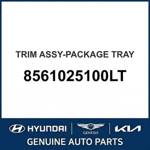 ชุดแต่งขอบตัวถังและคิ้วขอบประตู Accent รุ่น 8561025100LT - Product Image 1
