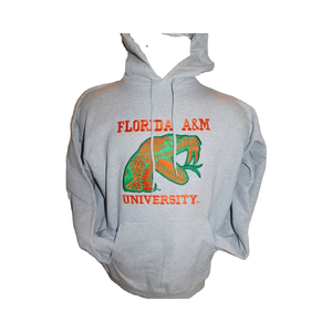 Sweats à capuche FAMU en coton 100% imperméable, imprimés en silicone personnalisés, brodés, solides, pour l'hiver, unisexe, pour l'Université Floride A&M - Product Image 1