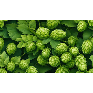 Houblon cru, matière première agricole de provenance professionnelle, de qualité supérieure et aux caractéristiques de récolte fraîche - Product Image 1