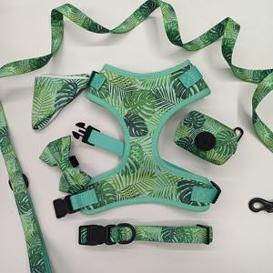 Set Guinzaglio e Collare in Poliestere Imbottito per AirTag, Pettorina Impermeabile Morbida per Cani di Piccola Taglia e Maniglia Doppia in Silicone per Cani di Taglia Grande - Product Image 1