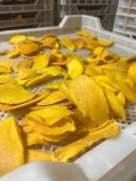 Vietnam Natuurlijk Tropisch Fruit Snack Zacht Gedroogde Mango Geen Suiker Toegevoegd Veganistisch Glutenvrije Zoete Smaak Siroop Bulk Groothandel Export