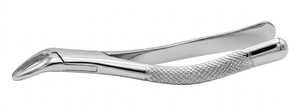 Forceps d'extraction dentaire en acier inoxydable chromé avec poignées texturées et pointes dentelées - Product Image 3