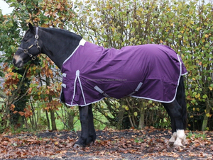 Alfombra de caballo de invierno 600dn de alta calidad, manta impermeable transpirable con carcasa Ripstop, ligera, hoja de lluvia de relleno de 0g - Product Image 5