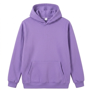 Wholesale Unisex Winter Blank Hoodie Solid Color Lined Pullover <b>Sweatshirt</b> Custom Printing <b>Embroidery</b> Heavyweight Casual - Product Image 1