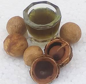 Huile de Tamanu Bio Premium de Qualité Supérieure Terra Bio Naturals, Vitamine E, Hydratant Anti-Âge pour Tous Types de Peau, Apaise l'Acné et l'Eczéma - Product Image 1