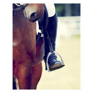 Estribos de Seguridad para Montar a Caballo, de Acero Inoxidable y Plástico, Reutilizables, Personalizables en Tamaño y Color, Protección para las Rodillas para Montar a Caballo al Estilo Inglés - Product Image 4