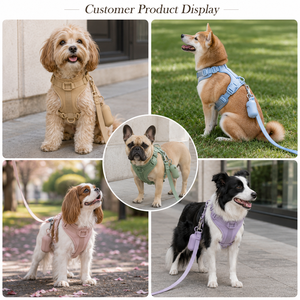 <span class=keywords><strong>Correas</strong></span> de Pecho <span class=keywords><strong>para</strong></span> Mascotas Transpirables <span class=keywords><strong>y</strong></span> Ecológicas con Logotipo Personalizado 2026, Diseños Nuevos de Alta Gama al por Mayor Mascotas - Product Image 6