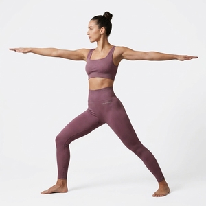<b>Women</b> Mauve Ribbed Sports Bra and High Waist <b>Leggings</b> Two Piece <b>Seamless</b> Yoga Activewear Set - Product Image 5
