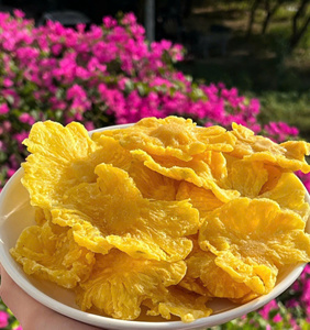 Anneaux d'ananas déshydratés, collation naturelle et saine, en vrac, fournisseur vietnamien, nouvelle récolte 2026 - Product Image 1