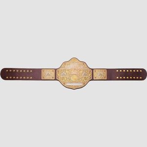 Réplica del Cinturón de Campeonato Mundial de Peso Pesado de Oro, Correa Marrón - Product Image 2