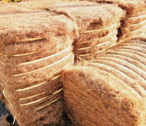 Fibras de Coco 100% Orgánicas Naturales en Pacas, Cuerda Premium para Construcción y Colchones, Comprimida, Venta al Por Mayor desde Tamil Nadu - Product Image 5