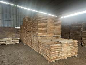 100% placage de noyau de coupe rotatif en bois naturel-placage de noyau en bois d'acacia/eucalyptus/caoutchouc prix compétitif exportation - Product Image 5