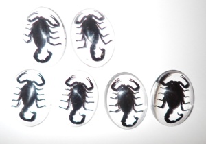 Scorpion noir, spécimen réel, cabochon en plastique ovale 30x40 mm, fond plat transparent pour l'artisanat et la fabrication de bijoux - Product Image 5