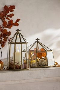 Terrario de Vidrio Negro Personalizado con Forma de Pirámide, Macetero Moderno de Vidrio para Plantas de Interior, Suculentas, Plantas Aéreas y Terrarios DIY - Product Image 5