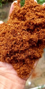 BLOCS DE COCOPEAT EN VRAC POUR L'AGRICULTURE-FOURNITURE PREMIUM DU VIETNAM - Product Image 4