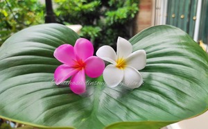 Pince à cheveux florale multicolore en argile, motif frangipanier, grande pince à griffes florale pour mariage, fête, plage - Product Image 1