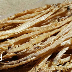 HOT SELLING DRIED PEANUT <b>WORM</b> / PREMIUM CULINARY INGREDIENT DRIED SIPUNCULUS NUDUS - Product Image 4