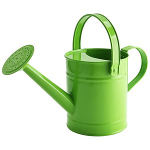 Arrosoir en fer galvanisé de style indien pour plantes et fleurs, idéal pour la maison et le jardin extérieur - Product Image 2