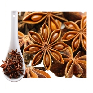 Anís estrellado a granel de primera calidad, precio de fábrica, hecho en Vietnam para cocinas asiáticas. - Product Image 1