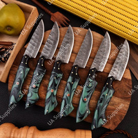 Couteau de usage quotidien moderne UA Supplies, forgé à la main, en acier Damas professionnel, à lame pleine, ambidextre, avec manche ergonomique en résine, 4,5 pouces