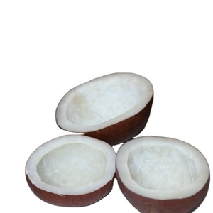 El mejor precio en productos agrícolas Premium del sur de la India: coco de bola seca comestible - Product Image 5