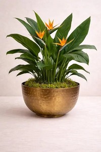 Pot de fleurs décoratif en métal martelé doré de luxe, ensemble de jardinières d'intérieur modernes en fer pour la maison, le jardin, le balcon, la décoration de table - Product Image 2