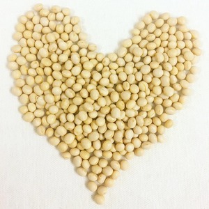 Soja entier naturel séché, soigneusement sélectionné pour une qualité propre, ingrédients pour l'alimentation animale et achat en gros - Product Image 6