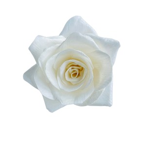 VADEE SOLA WOOD FLOWER Ocean Teal Garden Rose <b>Diffuser</b> Model 001 Sustainable Craft Handmade Sesbania <b>Reed</b> Home Fragrance Phra - Product Image 1