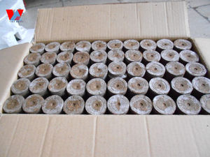 Arrancador de semillas Pellets de coco/pellets de turba de coco: EC baja, pH equilibrado, perfecto para verduras y hierbas/Sra. Lima - Product Image 2