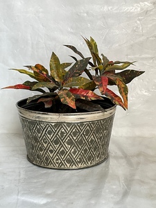 Round Metal Flower Pot <b>Tray</b> with Diamond Pattern Galvanized Finish Retro Style for Indoor Outdoor Use - Product Image 6
