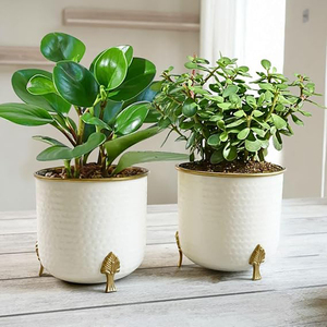 Metal Flower Vase Planter <b>Pot</b> with Iron Stand, <b>Pots</b> for Plants, Plant <b>Pots</b> for Home Decoration, <b>Succulent</b> <b>Pot</b>, Indoor Planter - Product Image 6