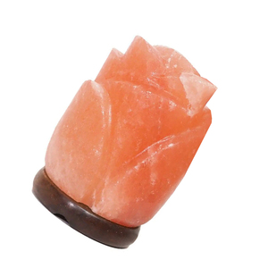 Lámpara de Sal Rosa en Forma de Flor, Lámpara de Cristal de Sal Hecha a Mano de Lujo, Fabricante Mayorista, Muestra Rápida y MOQ Bajo - Product Image 4