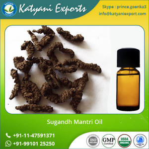 100% Especialista en aromaterapia pura y natural Sugandh Mantri Oil - Product Image 2