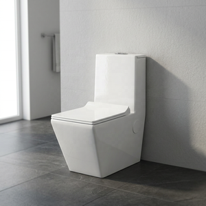 Inodoro de cerámica de una pieza, directo de fábrica, sanitario moderno con sistema sifónico, precio en India. - Product Image 4