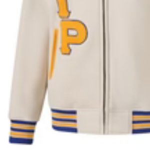 Veste universitaire en polaire neutre Sigma Gamma Rho, broderie chenille, vêtements de sororité grecque, vêtements pour femmes de qualité supérieure - Product Image 4