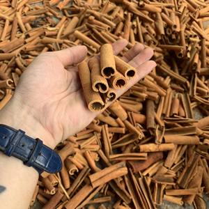 Bon prix Cigar Cassia 8-10 cm avec qualité supérieure du Vietnam - Product Image 2