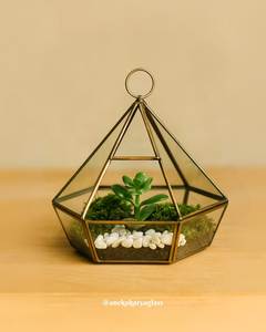 Terrario geométrico de cristal para decoración interior de plantas - Product Image 5