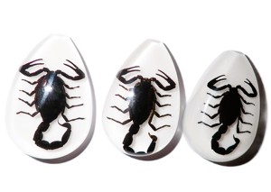 Black Scorpion Real Specimen Plastic Cabochon Pear Cut <b>Top</b> 46x30 mm White Flat Bottom for Crafts and Jewelry Making - Product Image 3