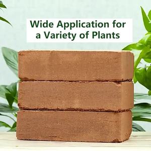 Bloc de fibre de coco pour la culture des plantes, amélioration du sol à haute rétention d'eau, briquette 650g, utilisation en jardinage intérieur - Product Image 1