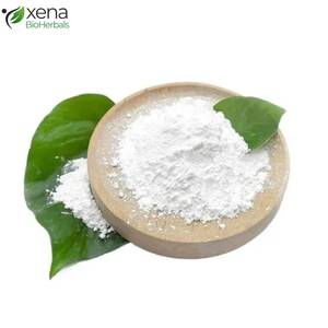 Fabricante OEM de Metilsulfonilmetano en Polvo, Nutracéutico para el Soporte Articular, Proveedor a Granel - Product Image 2