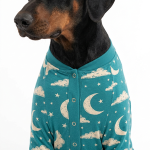 Bulk Order <b>Dog</b> <b>Sweater</b> Hoodie in Soft Fleece Accessories Cute Small Medium Large Premium Trendy Warm Stylish - Product Image 2